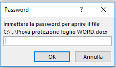 proteggere un foglio word - Immettere password